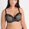 City Chic Fifi Bra - Beugel Bh - Black/Latte -Kleding Discountwinkel a3a97051c8934e4691bda6e49d793157