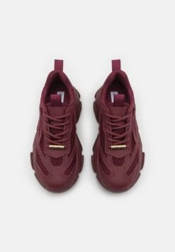 Steve Madden Possession - Sneakers Laag - Wine -Kleding Discountwinkel b023863af28f4f4aab1677ac3717a836